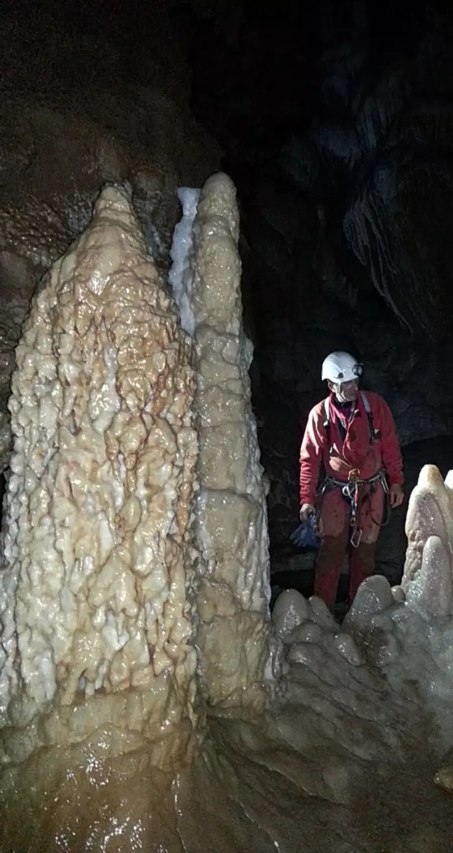 José Antonio Carbajal Rodríguez